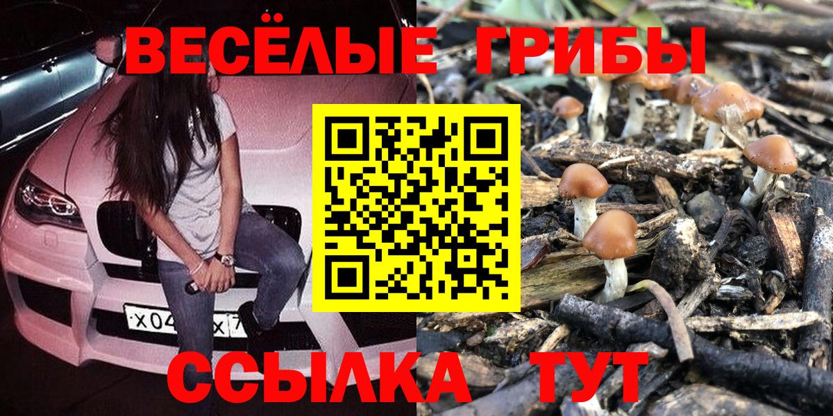 Галлюциногенные грибы Cubensis  Вход с VPN  Лянтор 